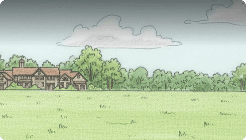 Mestadels plan gräsmatta